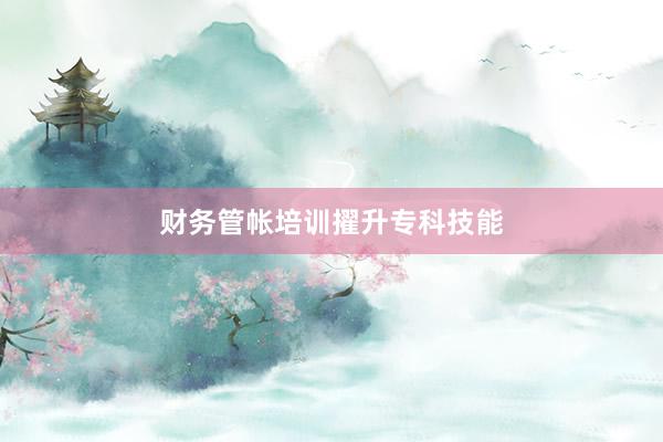 财务管帐培训擢升专科技能