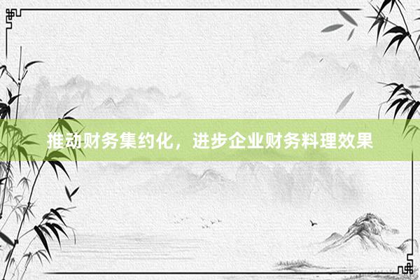 推动财务集约化，进步企业财务料理效果