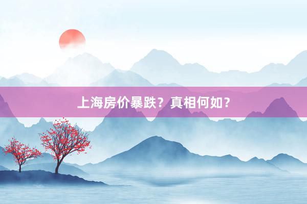 上海房价暴跌？真相何如？
