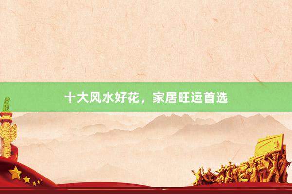 十大风水好花，家居旺运首选