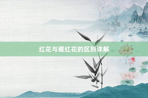 红花与藏红花的区别详解