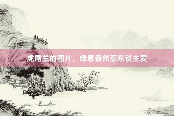虎尾兰的图片，绿意盎然惹东谈主爱